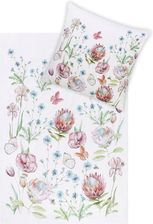 Zdjęcie Pościel Estella Josefa 3422/985 Bio bawełna - Solec Kujawski