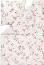 Zdjęcie Pościel Estella Thalia 6621/670 mako interlock - jersey - Mrocza