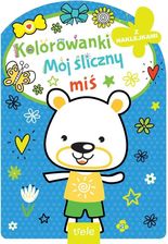 Zdjęcie Mój Śliczny Miś. Kolorowanka Z Naklejkami - Drobin