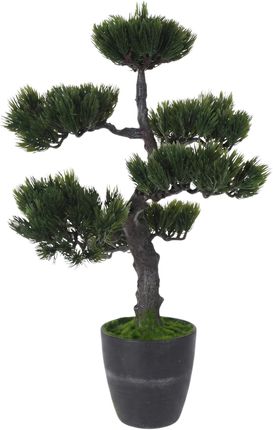 Bonsai drzewko - ceny, opinie, sklepy - www.taniomania.pl