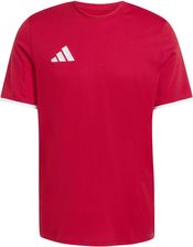 Zdjęcie T-shirt adidas Entrada 26 JZ6676 - Świętochłowice