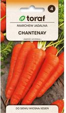 Zdjęcie Nasiona Marchew Jadalna Chantenay 5G - Warszawa