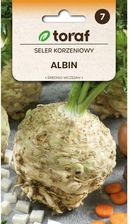 Zdjęcie Nasiona Seler Korzeniowy Albin 0,5G - Mińsk Mazowiecki