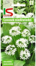 Zdjęcie Nasiona Czosnek Niedźwiedzi 0,5g - Łaskarzew