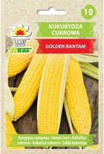 Zdjęcie Nasiona Kukurydza cukrowa Golden Bantam 10g - Tłuszcz
