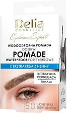 Zdjęcie Delia Eyebrow Expert Wodoodporna Pomada Do Brwi 5.0 Jasny Brąz 7g - Lipsk