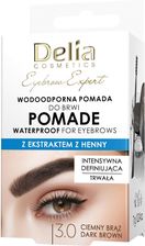 Zdjęcie Delia Eyebrow Expert Wodoodporna Pomada Do Brwi 3.0 Ciemny Brąz - Lipsko