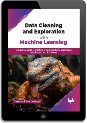 Data Cleaning and Exploration with Machine Learning (ebook) - Ceny i ...
