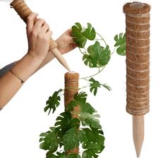 Zdjęcie Progarden Podpora Do Roślin Kokosowa 30Cm - Białogard