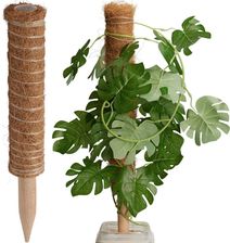Zdjęcie Progarden Podpora Do Roślin Kokosowa 50Cm - Bielsko-Biała