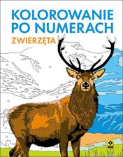 Zdjęcie Zwierzęta. Kolorowanie po numerach - Pszów