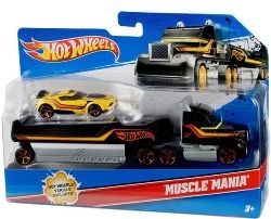 Mattel Hot Wheels Transportery Truckin Transporters C0628 (V2365