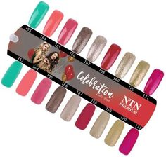 Zdjęcie Ntn Premium Wzornik Celebration Collection Połysk I Mat 9 Kolorów - Rzgów