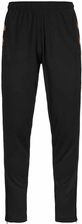Zdjęcie Spodnie dresowe Kappa Gaston - Kraków