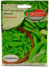 Zdjęcie Nasiona Groch 50G Siewny Iłówiecki - Łosice