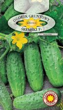 Zdjęcie Planta Nasiona Ogórek Konserwowy Śremski 6,5G - Kobyłka