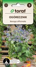 Zdjęcie Toraf Nasiona Ziół Ogórecznik Zioła Do Ogrodu - 307 - Ozorków