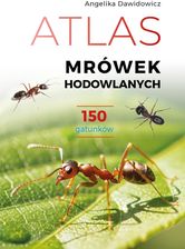 Zdjęcie Atlas mrówek hodowlanych. 150 gatunków - Bojanowo