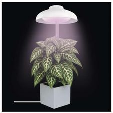 Zdjęcie Emos Lampa Led Grow Do Uprawy Roślin 5W, Timer, Biała (Z7901) - Tychy