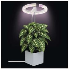 Zdjęcie Emos Lampa Led Grow Do Uprawy Roślin 8W, Timer, Ściemnialna, Biała (Z7902) - Sobótka