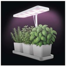 Zdjęcie Emos Lampa Led Grow Do Uprawy Roślin 7W, Timer, Ściemnialna, Biała (Z7904) - Namysłów