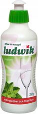 Zdjęcie Ludwik Płyn Do Mycia Naczyń Miętowy 250G - Gryfów Śląski