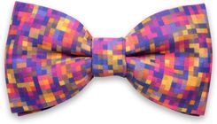 Zdjęcie Mucha męska Willsoor - Nowy Dwór Mazowiecki