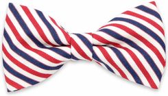 Zdjęcie Mucha męska Willsoor - Nowy Dwór Mazowiecki