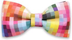 Zdjęcie Mucha męska Willsoor - Nowy Dwór Mazowiecki