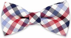 Zdjęcie Mucha męska Willsoor - Krzywiń