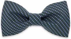 Zdjęcie Mucha męska Willsoor - Krzywiń