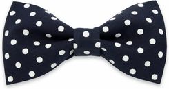 Zdjęcie Mucha męska Willsoor - Krzywiń