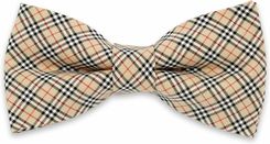 Zdjęcie Mucha męska Willsoor - Krzywiń