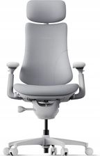Zdjęcie Fotel ergonomiczny Omni Dynamic Szary Obrotowy Siedzisko 45 cm OMNIDYNAMICBASICBUNDLE - Borek Wielkopolski