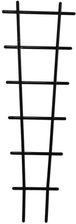 Zdjęcie Prosperplast Drabinka Do Kwiatów Podpórka Do Roślin IDR3 - Drzewica