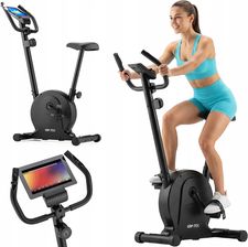 Gymtek Rower Treningowy Stacjonarny Magnetyczny Rowerek Do �wicze� Domowy