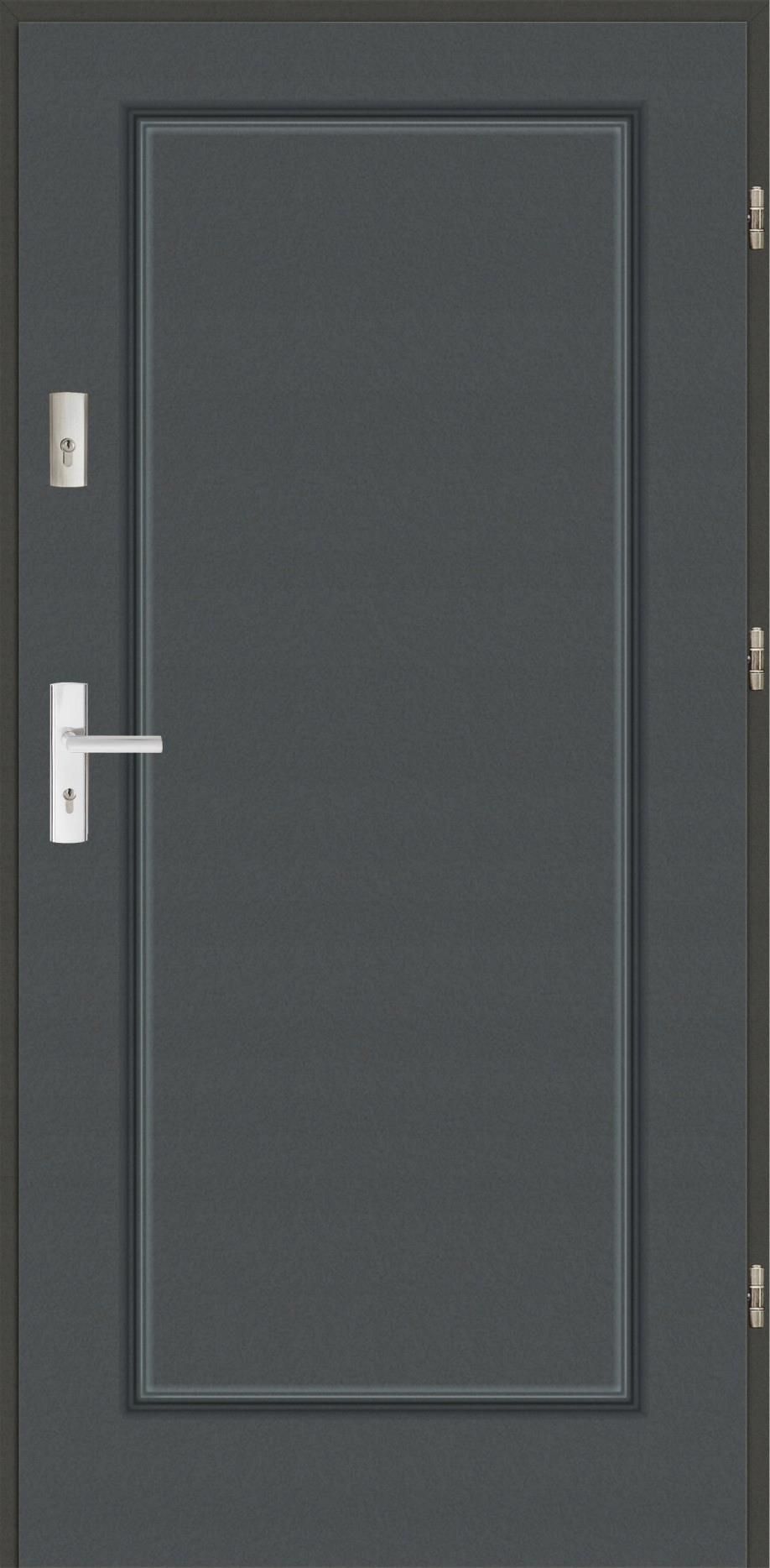 Drzwi zewnętrzne Polskie Drzwi Blue Plus Finezja Antracyt Prawe 90cm Na ...