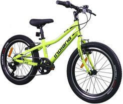 Zdjęcie Indiana Rower Dziecięcy Figo 20 Cali Limonkowy - Lubsko