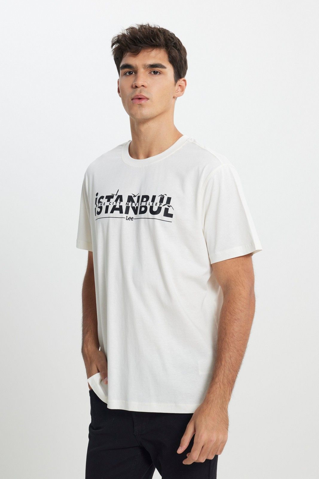 Męski t-shirt LEE CITY LOGO TEE WHITE 112388503 - Ceny i opinie - Ceneo.pl