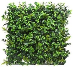 Zdjęcie Mirpol Panel zieleni Bluszcz CCGA037 - Łabiszyn