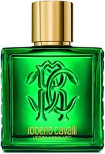 Zdjęcie Roberto Cavalli Uomo Verde Assoluto Woda Perfumowana 100ml - Śrem
