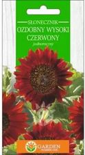 Zdjęcie Garden Number One Słonecznik Ozdobny Wysoki Czerwony Nasiona 2g - Nowe