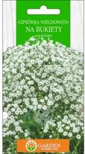 Zdjęcie Garden Number One Gipsówka Wiechowata Nasiona 2g - Resko
