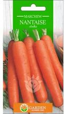 Zdjęcie Garden Number One Marchew Nantaise Nasiona 3g - Resko