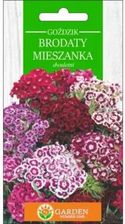 Zdjęcie Garden Number One Goździk Brodaty Mieszanka Nasiona 1g - Witkowo