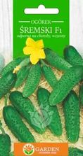Zdjęcie Garden Number One Ogórek Śremski F1 10g - Resko