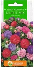 Zdjęcie Garden Number One Aster Karłowy Liliput Mix Nasiona 1g - Wolin