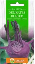 Zdjęcie Garden Number One Kalarepa Delikates Blauer Nasiona 2g - Wolin