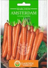 Zdjęcie Garden Number One Marchew Amsterdam Nasiona 10g - Resko