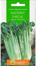 Zdjęcie Garden Number One Seler Naciowy Pascal Nasiona 1g - Gryfice